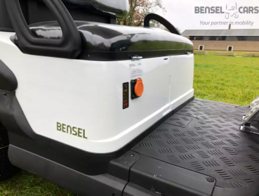 Preview: BSN2C Elektro Golf Cart mit Ladefläche NEUFAHRZEUG mit Lithium Batterie 135Ah