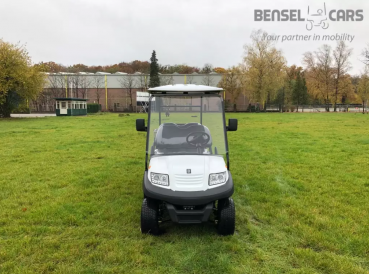 Preview: BSN4C Elektro Golf Cart für 4 Personen mit Ladebox NEUFAHRZEUG Lithium Batterie 135Ah
