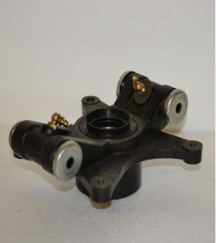 Lager Achsschenkel hinten komplett links