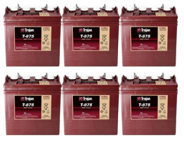 1 Satz Batterien Trojan T875 8 Volt ( 6 Stück)