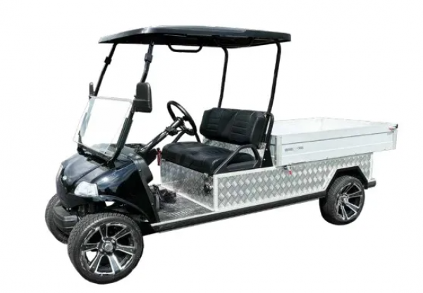 BSN1000 Elektro Golf Cart mit langer Ladefläche NEUFAHRZEUG mit Lithium Batterie 110 Ah