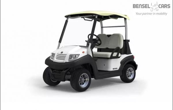 BSN2 Elektro Golf Cart NEUFAHRZEUG mit Lithium Batterie 135Ah