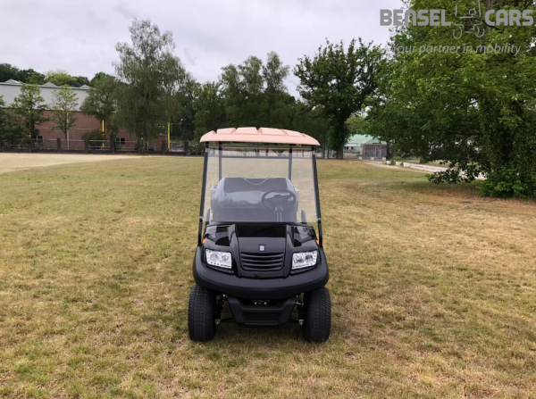 BSN2C Elektro Golf Cart mit Ladefläche NEUFAHRZEUG mit Lithium Batterie 135Ah