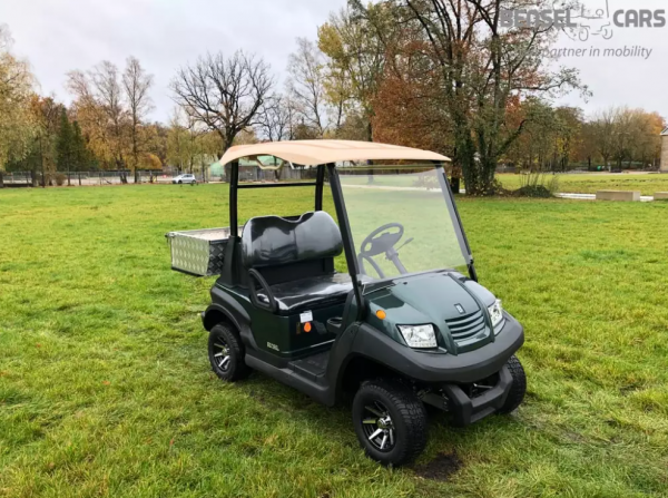 BSN2C Elektro Golf Cart mit Ladefläche NEUFAHRZEUG mit Lithium Batterie 135Ah
