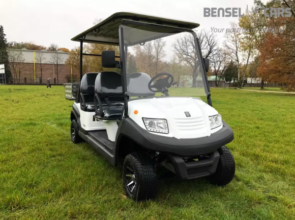 BSN4C Elektro Golf Cart für 4 Personen mit Ladebox NEUFAHRZEUG Lithium Batterie 135Ah