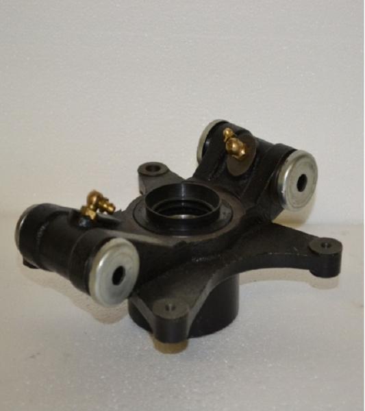 Lager Achsschenkel hinten komplett links