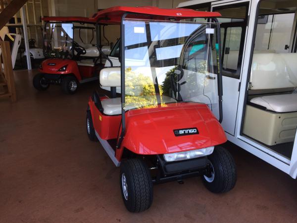 PM-2 Elektro Golf Cart NEUFAHRZEUG