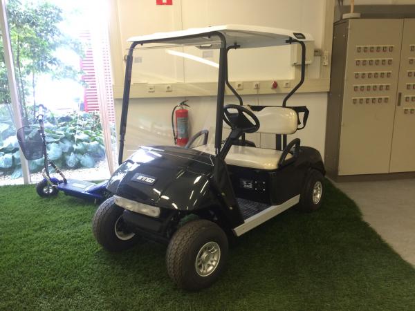 PM-2 Elektro Golf Cart NEUFAHRZEUG