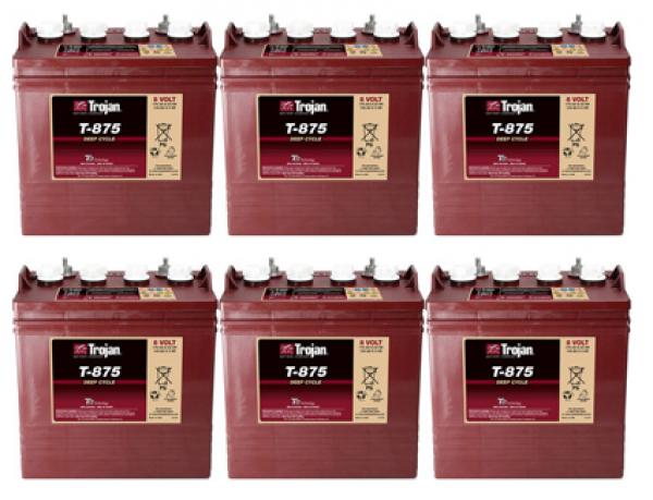 1 Satz Batterien Trojan T875 8 Volt ( 6 Stück)